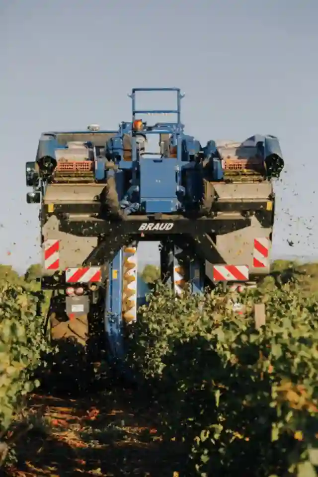 vendanges hérault