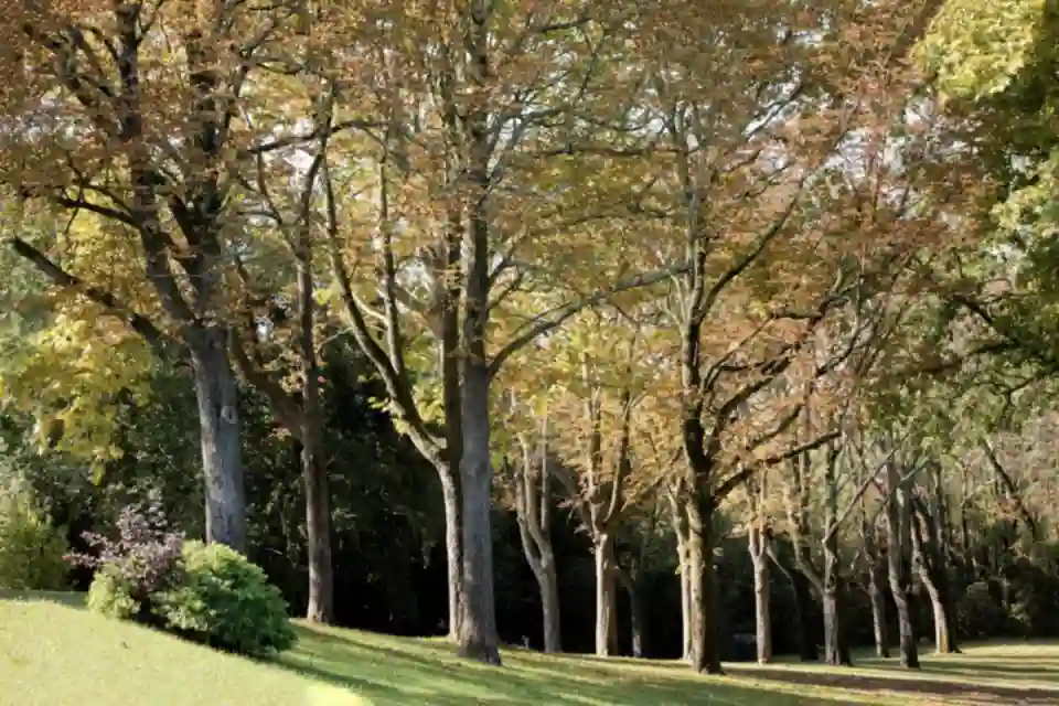 château Saint Martin de Grave